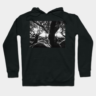 Black and White Shot of Ancient Whistman's Wood at Sunrise (Dartmoor NP, England) Hoodie